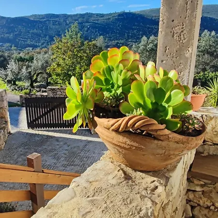 Bed & Breakfast Casa Da Pedra - Porto De Mos, Leiria 3*