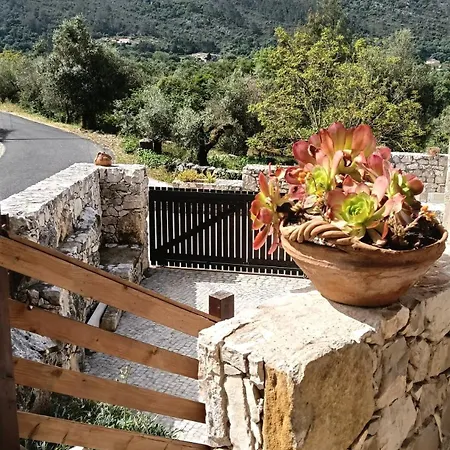Casa Da Pedra - Porto De Mos, Leiria 3* Alvados